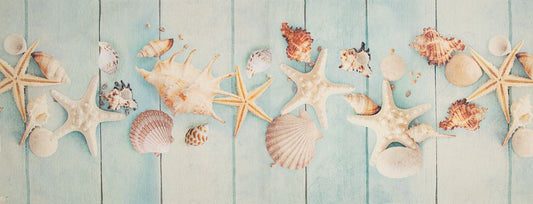 Tappeto-Passatoia 'SAPORE DI MARE' collezione Emozioni by Suardi